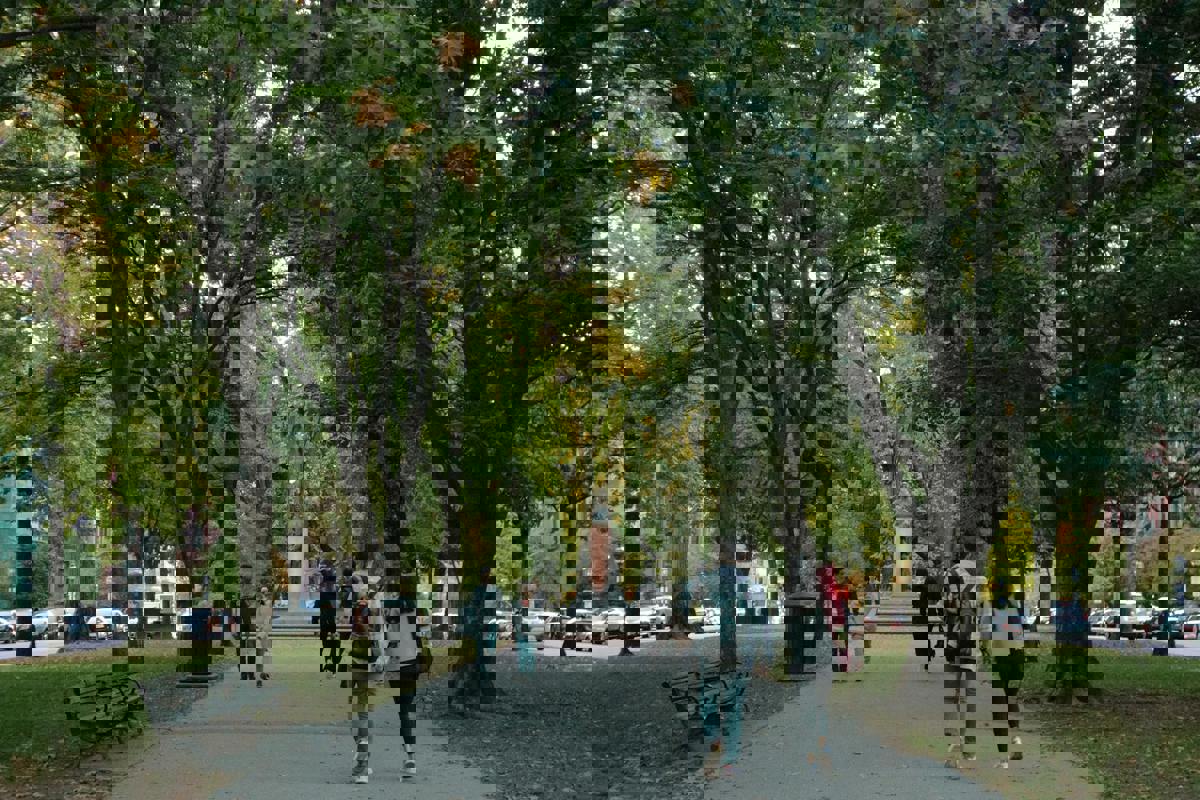 Urban Parks Embrace Green Infrastructure to Combat Climate Change